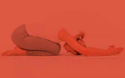 Welcome to the new Ashburton School of Yoga website