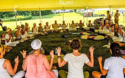 All next week is Zen Yoga/Mindfulness