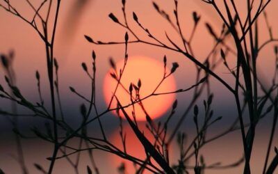 Autumn Equinox Reset